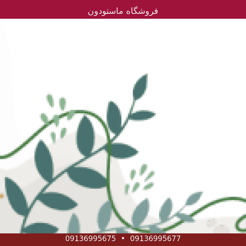فروشگاه ماستودون